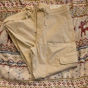 American Eagle Stretch Convertible Jogger Pants-size 8 Regular (29W). NWT
